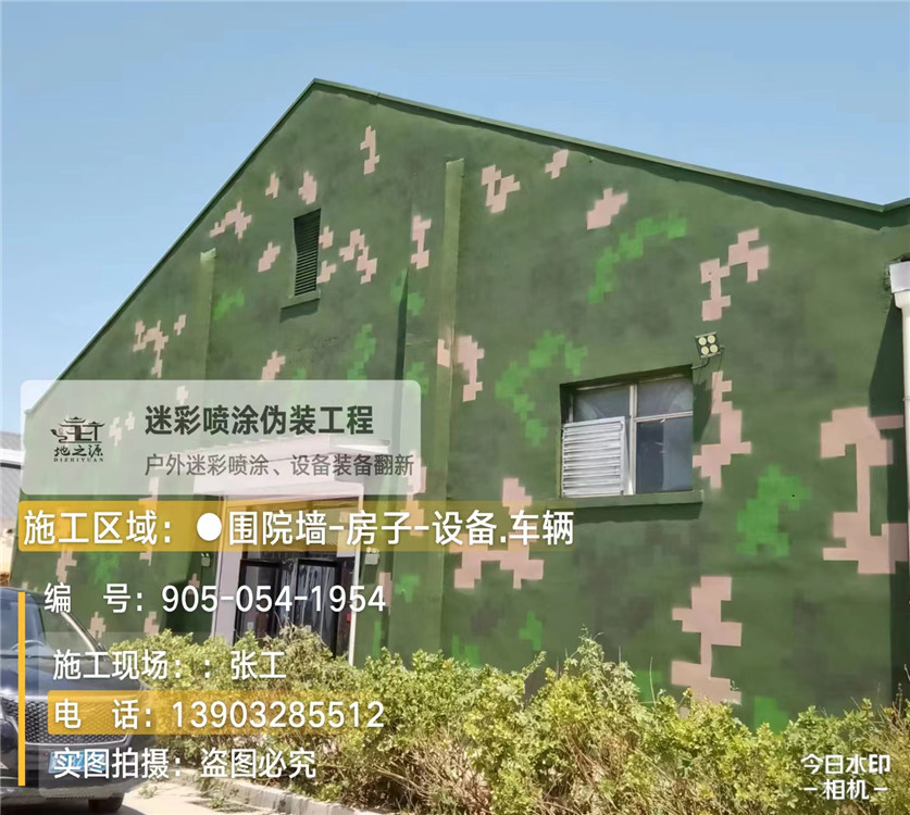 随州外墙数码迷彩漆施工报价清单（100㎡标准墙面测算）